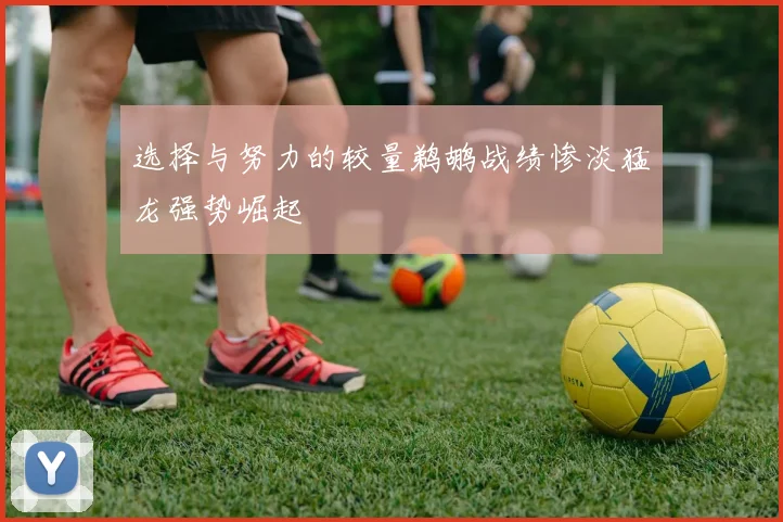 选择与努力的较量鹈鹕战绩惨淡猛龙强势崛起