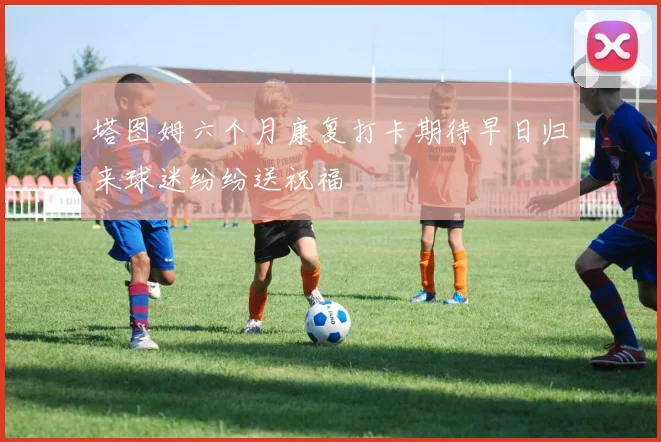 塔图姆六个月康复打卡期待早日归来球迷纷纷送祝福